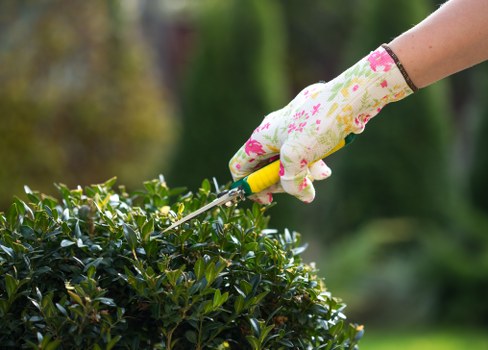Photograph of a gardener working in a green Honor Oak garden with tools