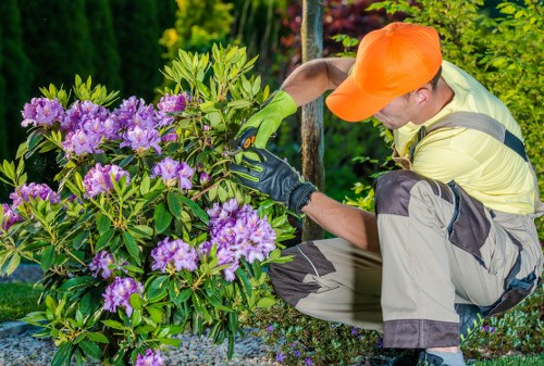 Risk assessor inspecting a garden before work begins