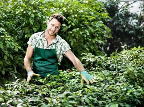 Gardener preparing an itemised quote on site