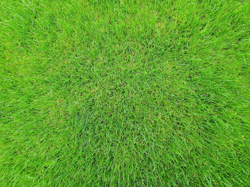 Close-up photograph of a well-maintained lawn at Blythe Hill Fields, showing lush, bright green grass with a slightly uneven surface. The grass blades are uniformly short and healthy, with a variety o